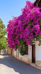 Fototapeta premium Picturesque Mediterranean street with vibrant pink bougainvillea in full bloom against traditional whitewashed walls under bright blue sky travel photography capturing exotic beauty and architecture