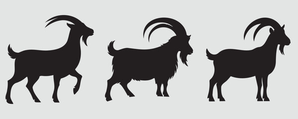Set of three black goat silhouettes in different poses, isolated on a light background