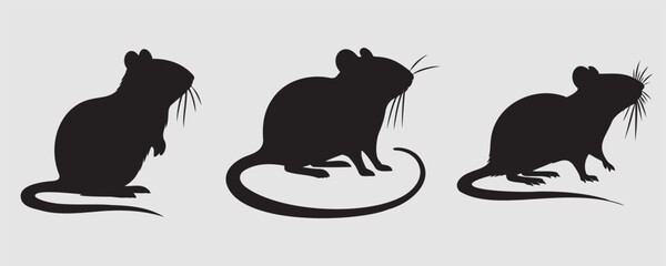 Set of three black gerbil silhouettes in different poses, isolated on a light background