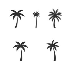 Fototapeta premium Palm Tree Silhouettes Set - Black and White Minimalist Palm Icons.