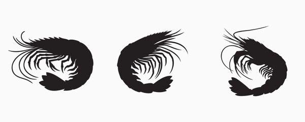 A set of three shrimp silhouettes in various poses, showcasing their curved bodies, long antennae, and delicate legs. Perfect for seafood, marine life, and culinary design projects
