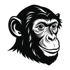 Chimpanzee head Vector Illustration 