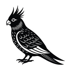 Cockatiel Bird Vector Illustration
