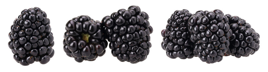 Close-up, Blackberry isolated, transparent PNG, PNG format, collection, set