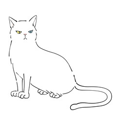 白猫のイラスト
