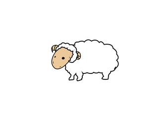 sheep