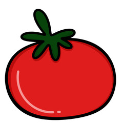 vector illustration of a tomato
