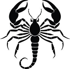 A black and white logo type scorpion silhouette design - scorpion icon design