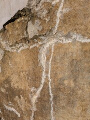 Stone Tile Wall with Animal Print Engraved Giraffe Zebra for background