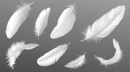 Obraz premium Set of white falling feathers isolated on a transparent background, vector illustration with a clipping path and shadow