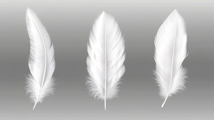 Obraz premium White feathers set isolated on a transparent background, vector illustration for web design and graphic decor elements