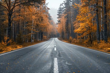Obraz premium A scenic autumn road through a forest of golden leaves, leading to a misty horizon.