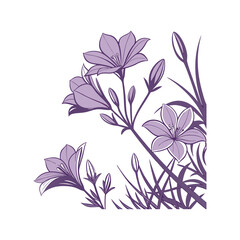 Extreme close-up of purple flowers growing outdoor vector illustration