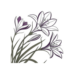 Extreme close-up of purple flowers growing outdoor vector illustration