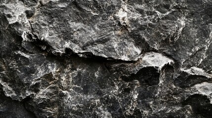 Fototapeta premium A black rock with white specks on it