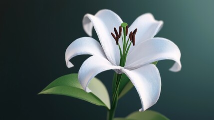 Fototapeta premium Close-up of a pristine white lily flower with green leaves against a soft gradient background
