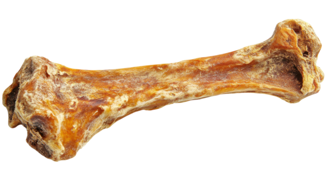 Natural dog bone for chewing, promoting dental health and satisfying cravings in dogs