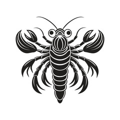 Shrimp design vintage vector illustration
