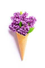 Purple lilac flowers in waffle cone