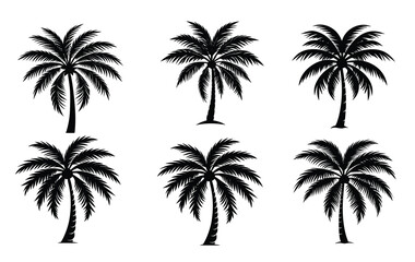 Coconut trees silhouette on white background.