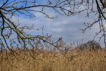 Naturhintergrund