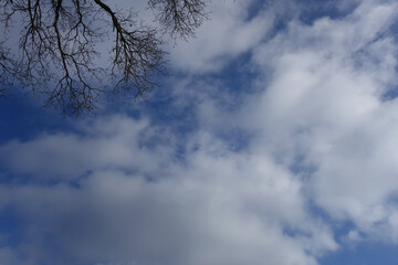 Naturhintergrund mit sonne und wolken und links ein paar Äste vom Baum 