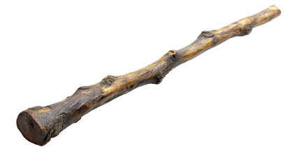 Fototapeta premium Natural dog chew stick for healthy chewing, ideal for all breeds and sizes, promotes dental health and satisfies chewing instincts