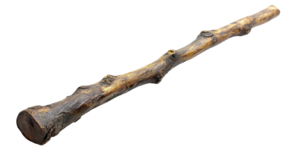 Natural dog chew stick for healthy chewing, ideal for all breeds and sizes, promotes dental health and satisfies chewing instincts