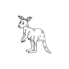 Kangaroo doodle cartoon black line art cute animal vector illustration.