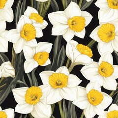 Detailed White and Yellow Daffodil Floral Illustration on Black Background