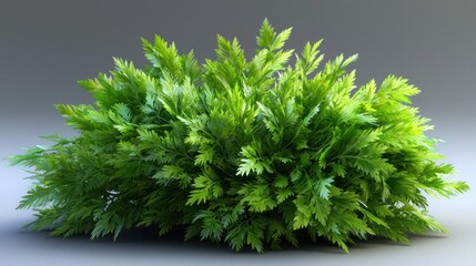 Fototapeta premium Lush Green Foliage Displaying Vibrant Leaves Against a Subtle Gray Background