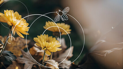 Happy cheerful mid aged business woman executive in office using laptop at work smiling professional mature 40 years old female company manager working on computer at workplace. concept as Happy cheer