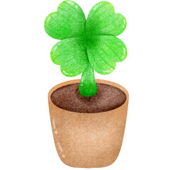 four leaf clover in pot