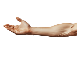 Human arm reaching out with an open hand demonstrating muscular structure against a transparent background