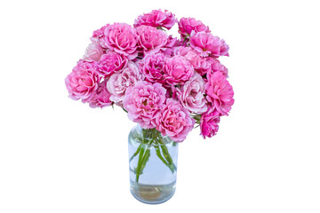 Clear glass bottle vase filled with fresh pink or purple roses on transparne background. Valentine's Day romantic concept. Design for romantic banners, wedding invitations, or greetings