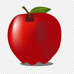 Eps 10 Vector.3d Vector Red Apple, Education, Back to school concept.