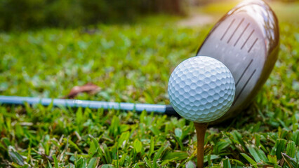 Golf clubs and balls on a green lawn in a beautiful golf course with morning sunshine.