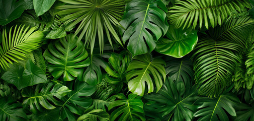 Lush green tropical leaves forming a vibrant background.