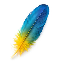 Blue and yellow feather A high-quality image of a colorful bird feather isolated on a white background