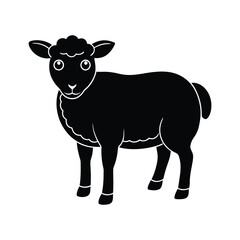 black and white sheep