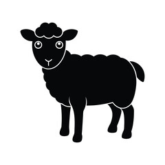 black and white sheep