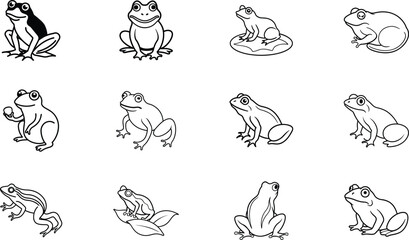 Twelve Adorable Frog Illustrations Amphibian, Cartoon, Nature, Pond, Wildlife