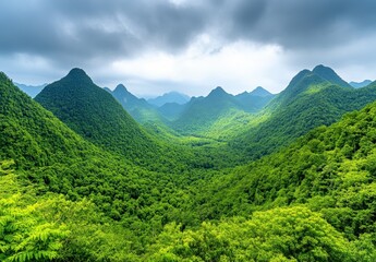 Obraz premium Lush green mountains under a cloudy sky. Dense tropical foliage covers the rolling hills creating a dramatic landscape