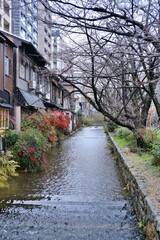 Canal in Kyoto