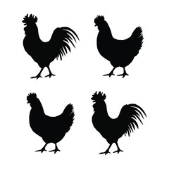 set of chicken