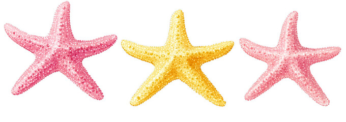 Colorful starfish trio with textured pink and yellow sea stars