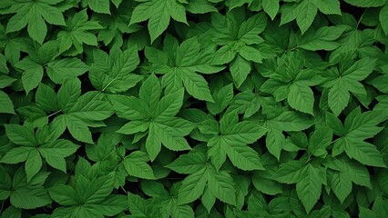 Lush Green Foliage: A Natural Texture