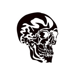 human skull vector illustration
