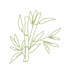 bamboo stem and leave