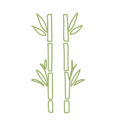 bamboo stem and leave